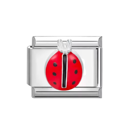 Ladybug Charm